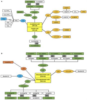 Plasma Oxylipins: A Potential Risk Assessment Tool in Atherosclerotic Coronary Artery Disease